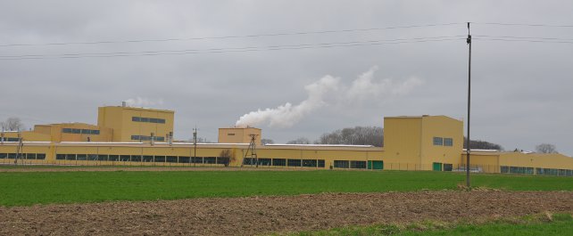 Paradyż Paradyż